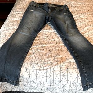 Torrid flare jeans